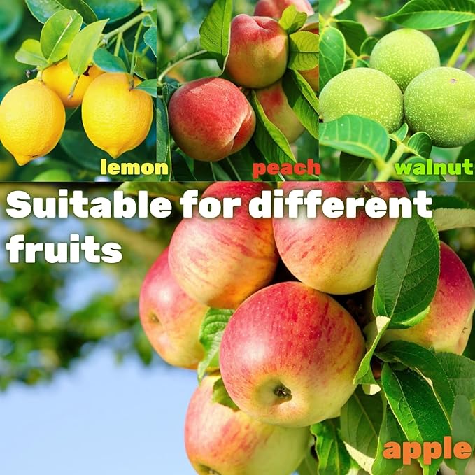 Adjustable Fruit Picker with Telescoping Handle and Basket, 35-65 Inches - Ideal for Apple, Orange, Avocado, Lemon, Pear, and Mango Harvesting