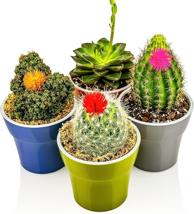 Sphagnum Moss Potting Mix for Carnivorous Plants - 10 Quart - Moss and Perlite Blend for Potting Venus Fly Traps, Sarracenia, Pitcher Plants (2 Bags of 5QT)