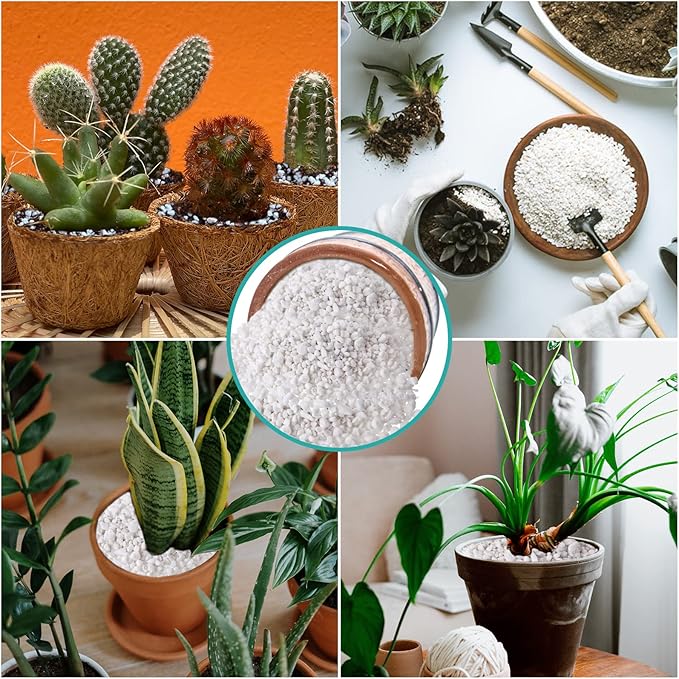 Legigo 6 Quarts Organic Horticultural Perlite for Plants Indoor- Natural Horticultural Soil Additive Conditioner Mix for Improves Drainage, Ventilation and Root Growth