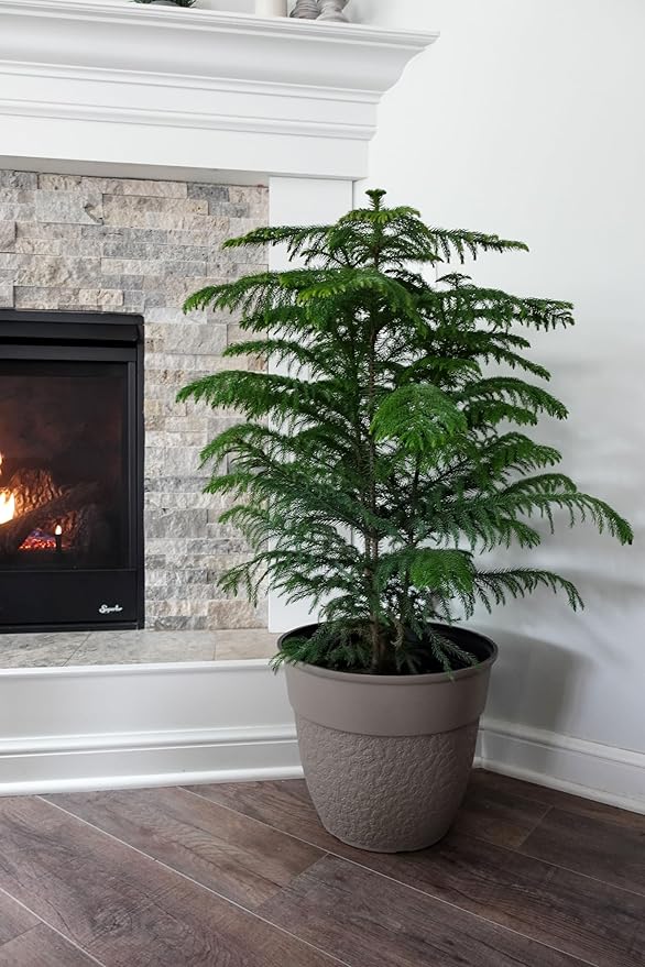 The HC Companies 16 Inch Brookhaven Decorative Round Planter - Lightweight Premium Resin Plant Pot with a Stonelike Texture for Indoor Outdoor Use, Taupe