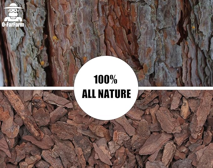 Orchid Bark for Plants, Organic Pine Bark for Proper Root Development for Phalaenopsis, Cattleyas, Dendrobiums, Oncidiums, Paphiopedilums and More (2qt, Large(18-35mm))