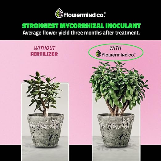 Vegan, Organic Liquid Fertilizer Kit| Biotechnology Fertilizer & Rock Dust, Longer Soil Enrichment | All-Purpose, Organic Liquid Plant Food for Vegetables, Plant| Indoor,Outdoor, 8.5 Fl.Oz +32g