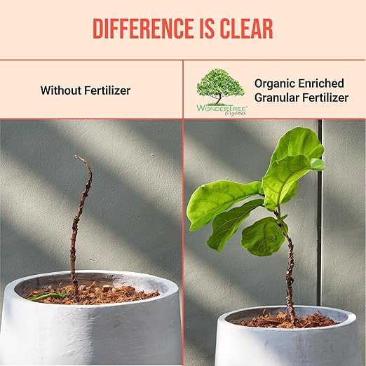 Eden Vegetables & Leafy Greens Organic Enriched Fertilizer - Neem Plant Food 7-7-7 Enriched Formula for Perfect Nitrogen, Phosphorous & Potassium Balance (5 lbs)