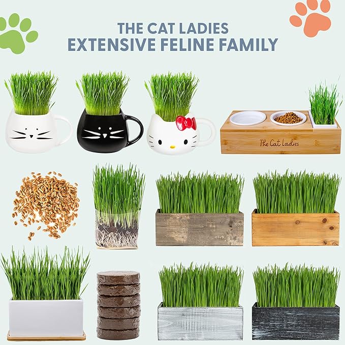 The Cat Ladies Cat Grass for Indoor Cats Kit with Organic Cat Grass Seed Mix, Soil and Ceramic & Cork Planter, Natural Hairball Remedy