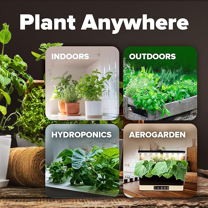 15 Heirloom Vegetable Seeds - Survival Bugout Seeds and Essential Emergency Prepper Gear - Non GMO Vegetable Seeds for Planting Home Garden Pack