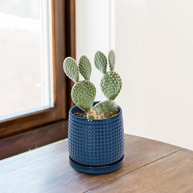 D'vine Dev 4 Inch Ceramic Beaded Stoneware Planter Pot - Flower Pot with Drainage Holes and Saucers for Indoor Succulent Plants or Flowers, Blue, 27-C-Z-3