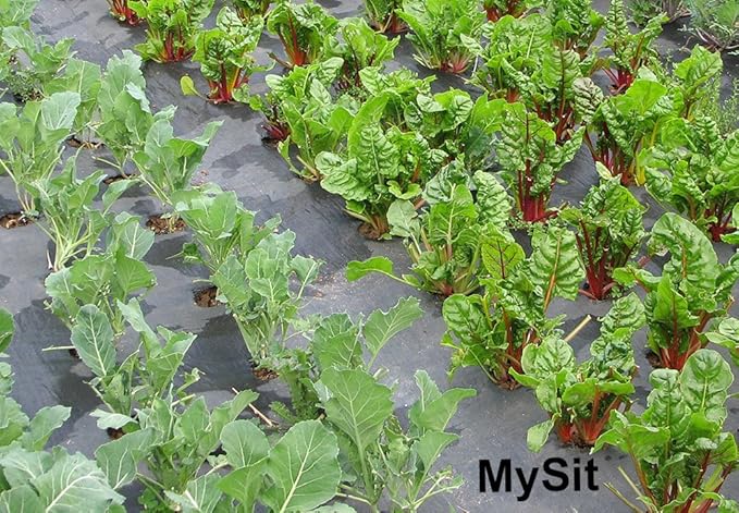 MySit 6" Galvanized Landscape Staples Garden Stakes Pins 200 Pack, Heavy-Duty 11 Gauge Garden Staples Anti-Rust Fence Stakes for Anchoring Weed Barrier Fabric Irrigation Tubing Soaker Hose