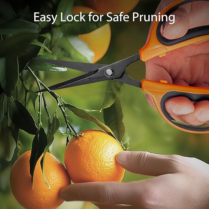 GROWNEER 1 Packs Trimming Scissors Teflon Coated Non Stick Blades Pruning Shears Gardening Hand Pruning Snips with Straight Stainless Steel Precision Blade