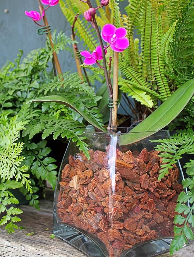 SuperMoss (23120) Orchid Potting Bark, Natural Brown, 1560 cu In. (Package May Vary)