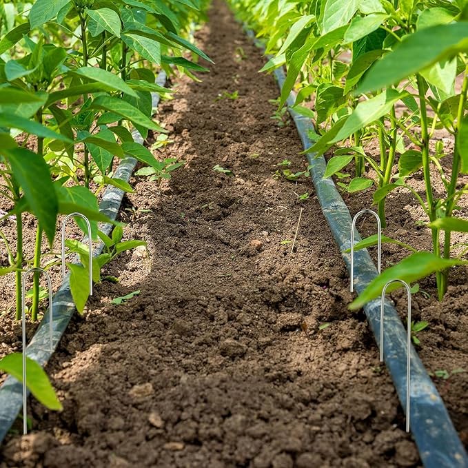 60 Pcs Irrigation Drip Tubing Staples 5 Inch J Shape Irrigation Tube Stakes Galvanized Landscape Pins for 1/4 Inch Irrigation Hose Lawn Nails 1/4 Inch to 1/2 Inch Loop Stake for Drip Tubing (J, 60)