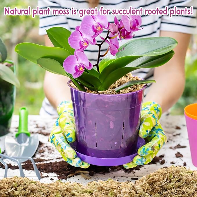 Riare 3.3 LB Premium Sphagnum Moss for Plants- 60QT Natural Long Fibered Sphagnum Peat Moss Plants Moss Dried, Carnivorous Plants Moss Orchid Potting Mix for Orchids, Carnivorous Plants, Succulent