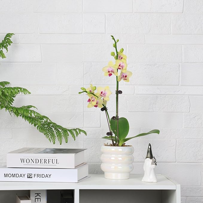 4.1 inch 4 pcs Ceramic Plant Pots for Indoor Plants, Rainbow Pearl Glaze Planter with Planters for Plants with Drainage Hole, Orchid Pots, Succulent Pot, Small Flower Pot (White)