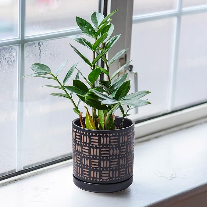 D'vine Dev Set of 2 Ceramic Planter Pots with Drainage Hole and Saucer, 4.5 Inch 6 Inch Plant Pots for Plants Indoor Houseplants, Black, 99-F-2