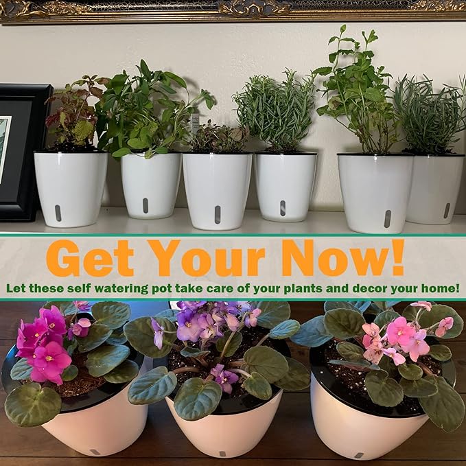 Planterhoma 5 Inch Self Watering Pots for Indoor Plants, 6 Packs White African Violet Pots with Water Indicator and Black Wick Pots, Self Watering Planters for Devil's Ivy, Indoor Plant Pots