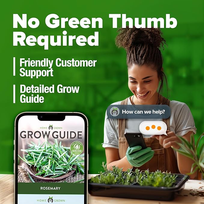 HOME GROWN Rosemary Seeds Bulk Pack - 150 High Germinating Non-GMO Heirloom Culinary Herb Seeds for Planting in Indoor or Outdoor Herb Gardens - USA Sourced (Salvia rosmarinus)