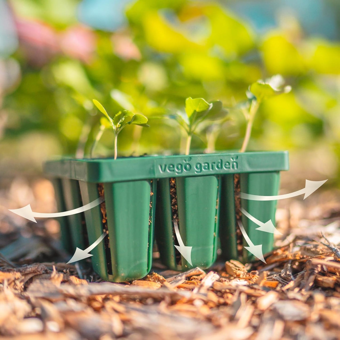 Vego garden Seedling Suite Products, 4 Pack Jumbo Seedling Trays and 4 Pack Standard Seedling Trays with 10" x 20" Bottom Watering Trays