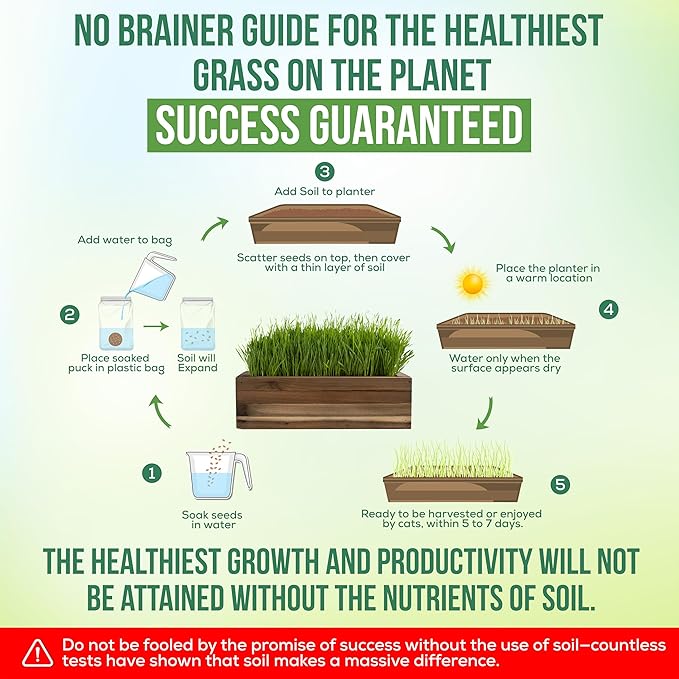 Ornamental Indoor Planter with Pet/Cat Grass Growing kit, Handcrafted in The USA from Red Cedar (Aged Tourquoise)