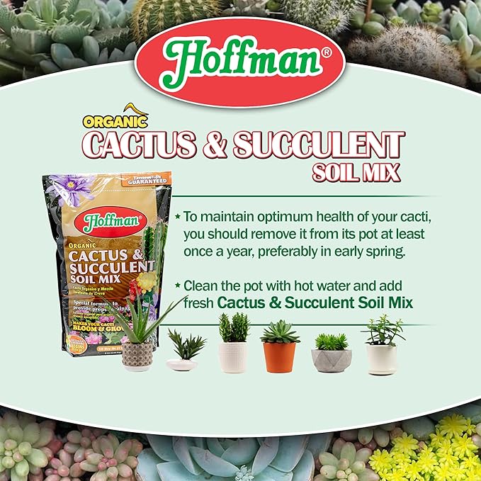 Hoffman Organic Cactus and Succulent Soil Mix to Provide Proper Drainage and Improve Growth in Cacti, 10qts, 5 Pack