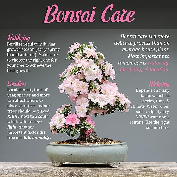 BambooMN Bonsai 8" Knob Cutter Tool - 1 Piece