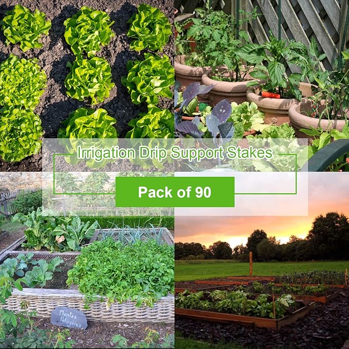 Mudder 90 Pieces Plastic Irrigation Drip Stakes for 1/4 Inch Pipe Universal Drip Tubing Hold Stakes for Irrigation, Hose Support, Greenhouse, Garden, Vegetable Flower Beds Herbs Growing