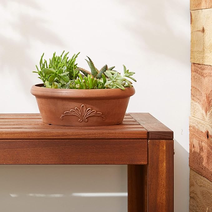 PSW Pot TA25TC Collection Shallow Bulb Pan Planter Dish Low Bowl for Succulents, Bonsai, Fairy Gardens, Herbs, 10-inch, Terra Cotta Color