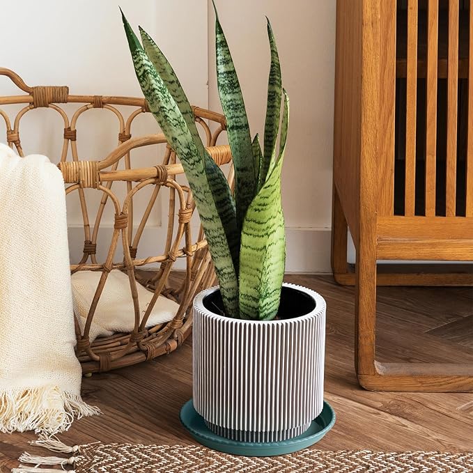 MUDEELA 2 Pack of 12 inch Plant Saucer, Durable Plastic Plant Trays for Indoors, Blue Plastic Flower Plant Pot Saucer, Made of Thicker, Stronger Plastic, with Taller Design