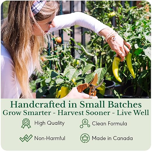 HydraVeggies Tomato & Vegetable Garden Fertilizer - with Sea Kelp to Stimulate Root & Fruit Growth - All Purpose Liquid Plant Food Nutrient For Indoor and Outdoor Gardens & Hydroponics NPK 2-6-4 16 oz