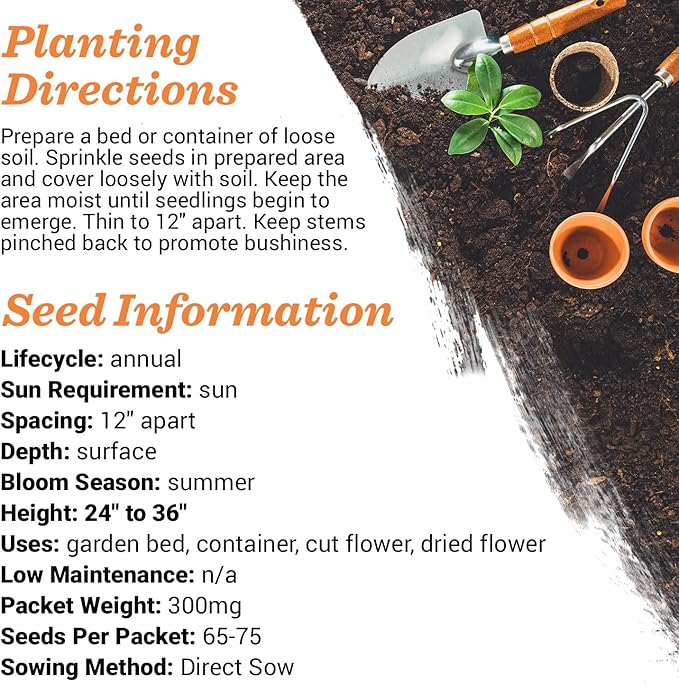 Vintage Look - 25 Individual Forget Me Not Flower Seed Packet Favors - Non GMO - Ready to Give - Bulk Pack of 25