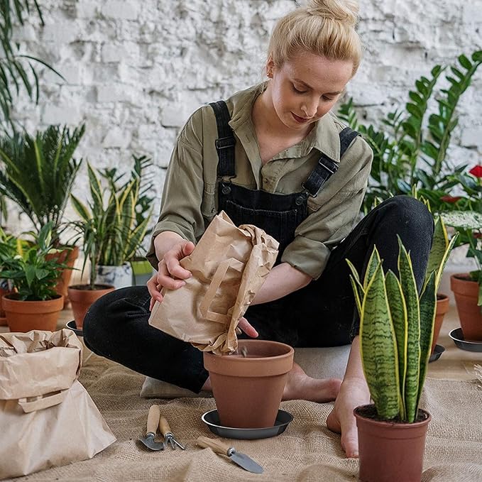 6 Pack Plant Saucer 8 10 12 Inch Plastic Plant Tray, Sturdy and Durable Flower Pot Container Accessories Plant Pot Saucers for Indoor and Outdoor (8 10 12 Inch, Black)