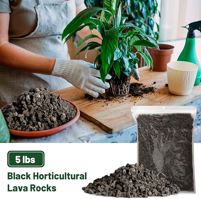 Drainage Rocks for Potted Plants 5LB, Horticultural Lava Rocks for Plants, Succulent Rocks for Pot Indoor, Lava Rock Aquarium Garden Landscaping Volcanic Bonsai Terrarium Fish Tank Decorative Stone