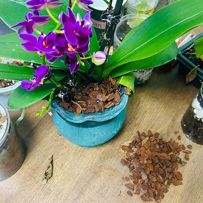 9qt Orchid Bark Horticultural Grade- Ideal for Phalaenopsis, Epiphytic Orchids, and Other Plants Potting, Repotting, Root Development, and Water Retention