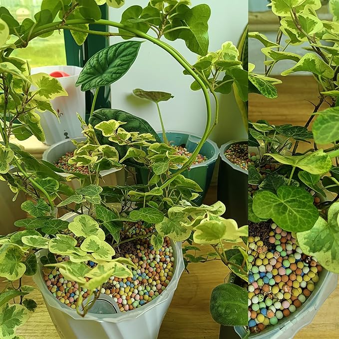 4.4lb LECA Clay Pebbles 4-5MM- Multicolor Clay Balls for Plants,Leca Balls for Plants,Horticultural Grade for Soil Hydroponics Aquaponics