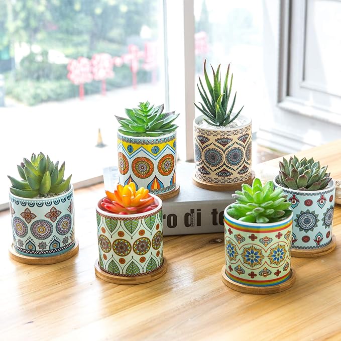 Succulent Plant Pots - 3.1 inch Ceramic Succulent Planter -Cylinder Flower Pots for Cactus with Drainage Hole and Bamboo Tray, 6 Pack、Plants not Included (Multicolor2)