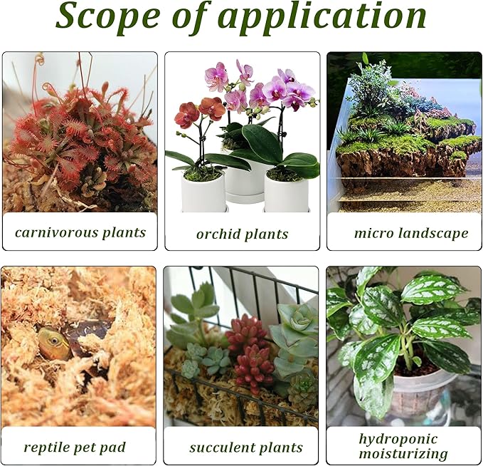 Sphagnum Moss for Plant Long Fiber Dried Forest Moss for Orchid Moss Potting Mix Natural Plant Moss for Carnivorous Plants Succulent Reptile (2.6)