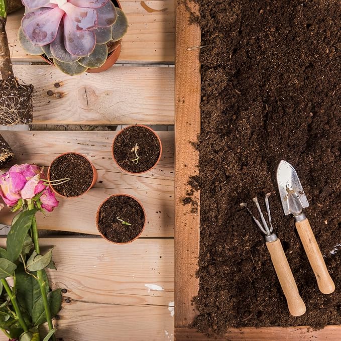 Halatool 6PCS Organic Coconut Coir Bricks Compressed Coco Coir Brick Nutrient Garden Soil with Low EC & pH Balance Premium Starting Soil Coconut Fiber Substrate for Plants Flowers Reptiles