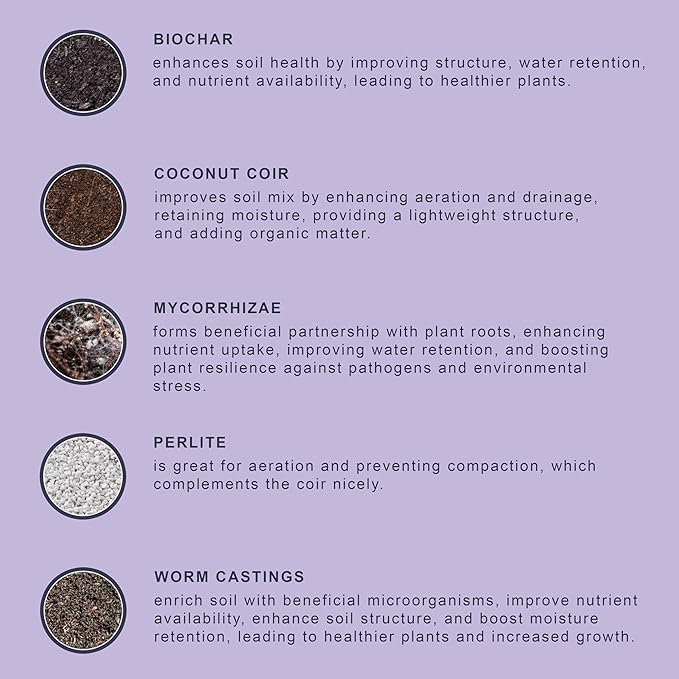 Premium Organic Indoor Houseplant Potting Soil Mix - Perfect for Pothos, Spider Plants, Fiddle Leaf Figs, Dracaenas, and Other House Plants! 4 quarts