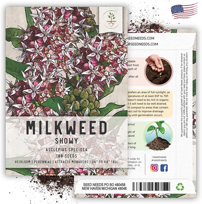 Seed Needs Showy Milkweed Seeds for Planting - Untreated & Open Pollinated, Attracts Monarch Butterflies in a Butterfly Garden (1 Pack)