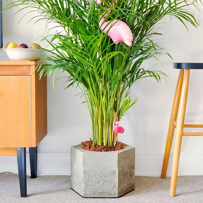 Halatool 4 Pcs Coconut Coir Chips for Plants - 4.4 LB 100% Organic Coco Husk Chip Bricks with Low EC and pH Balanced, Compressed Coco Substrate Growing Mulch Medium for Garden Herbs, Plants, Flowers