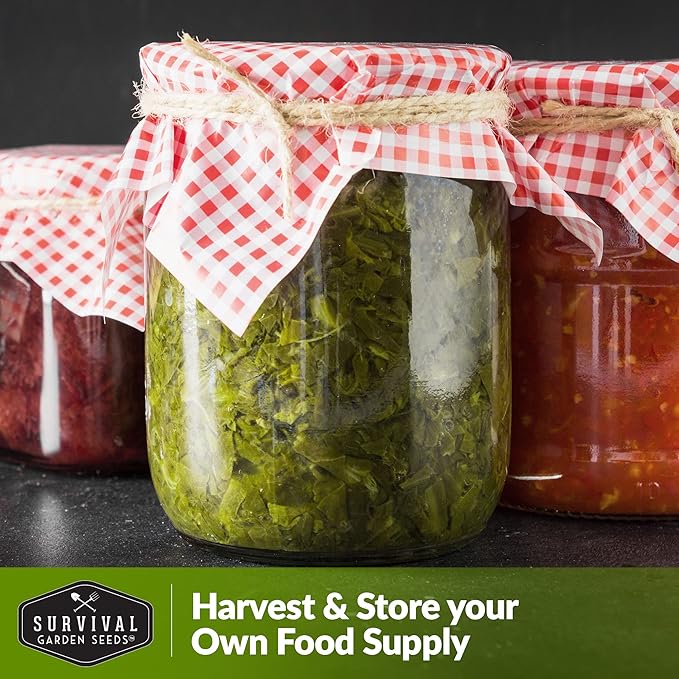 5 Packs Sorrel Seed for Planting - Packet with Instructions to Plant and Grow Rumex Acetosa Tangy Herb and Salad Greens in Your Home Vegetable Garden - Non-GMO Heirloom Variety - Survival Garden Seeds