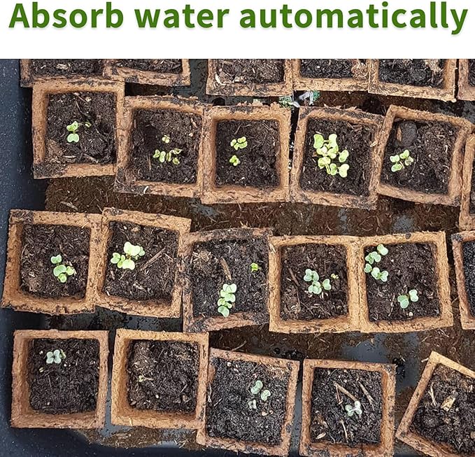 SYITCUN 480 Cells Seed Starter Tray, 40 Pack Biodegradable Seed Starter Kit, Peat Pots for Seedlings with 400 Plant Labels, 2 Seed Planting Tool and 1 Spray Bottle