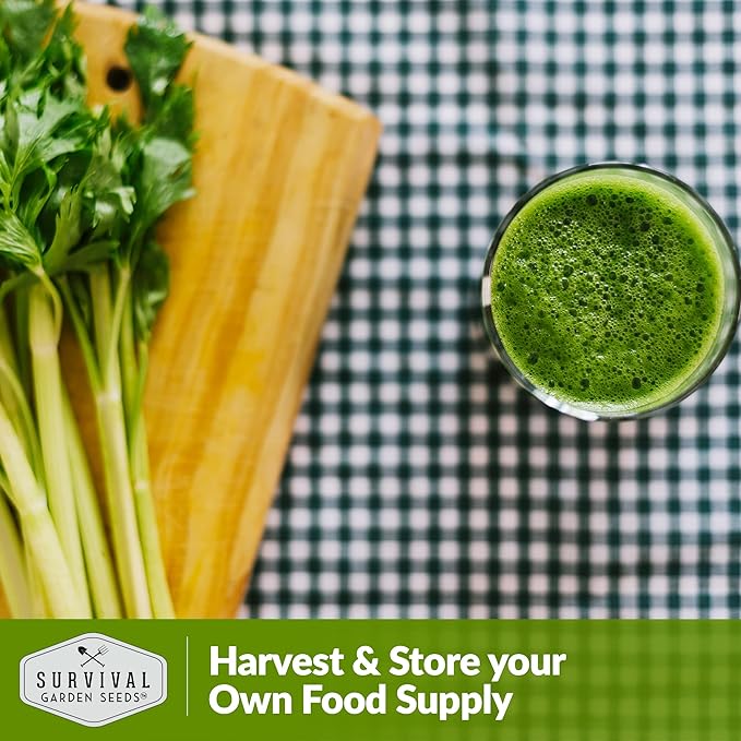 Utah Celery Seed for Planting - 5 Packets with Instructions to Plant & Grow Delicious Celery Plants in Your Home Vegetable Garden - Tender Crisp Non-GMO Heirloom Variety - Survival Garden Seeds