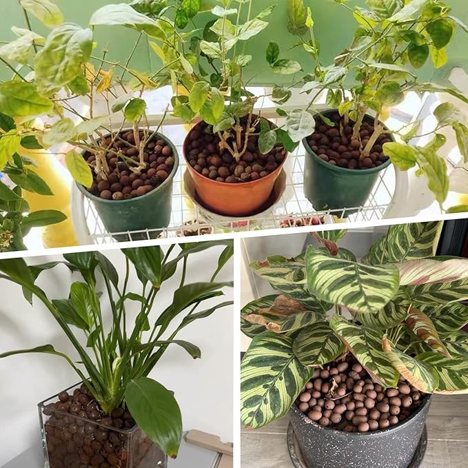 Jabrand LECA 8LBS Clay Pebbles, Organic Expanded Clay Pebbles 4mm-16mm Hydroponics Supplies Aquaponics Orchid for Indoor and Outdoor Garden Plants