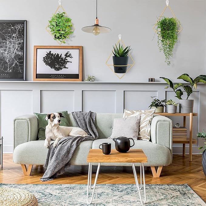 3 Sets of Wall Planters for Indoor Plants, Hanging Wall Planter with Gold Metal Holder, Geometric Self Watering Wall Flower Pots, Wall Mounted Succulent Planter, 5" Black Plant Pot