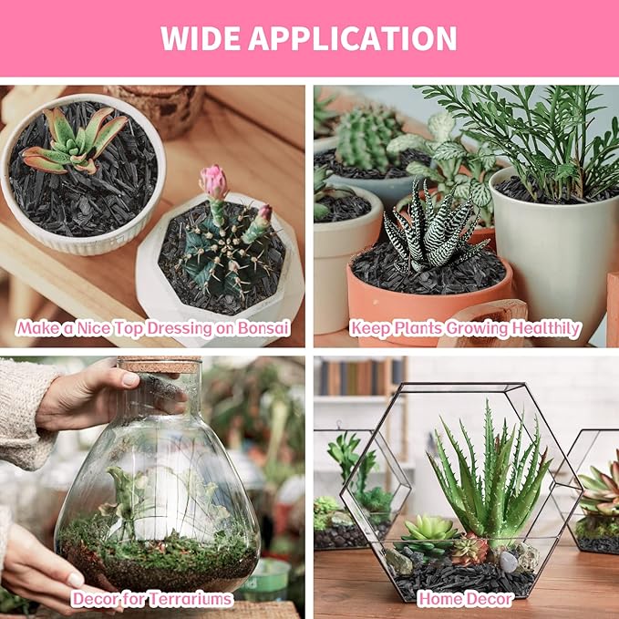 Legigo 12QT All Natural Horticultural Charcoal- Activated Hardwood Plant Charcoal for Soil Amendment, Conditioning Bonsai Soil, Succulent Soil, Terrarium Supplies, Indoor Plant Potting Soil