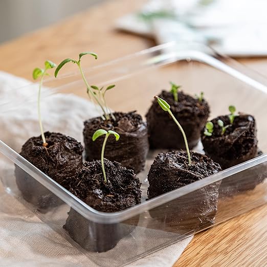 Coco Coir Seed Starter Pellets: 125 Coconut Coir Plugs for Growing Plants β Peat Free Seedling Soil β Seed Starter Kit with Potting Soil Pellets β 125 Starter Plugs β Gardening Supplies from OwnGrown