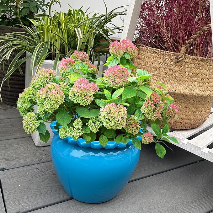 10.5in Large Ceramic Planters for Indoor Plants Blue Self-Watering Terracotta Planter Green Dolomite Clay Morden Decor Simple Irrigation Terracotta Clay Pots with Creamic Reservoir