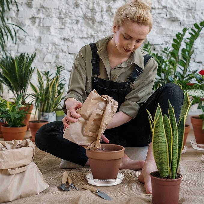 6 Pack Plant Saucer 6 8 10 12 14 Inch Plastic Plant Tray, Sturdy and Durable Flower Pot Container Accessories Plant Pot Saucers for Indoor and Outdoor (10 Inch, Clear)