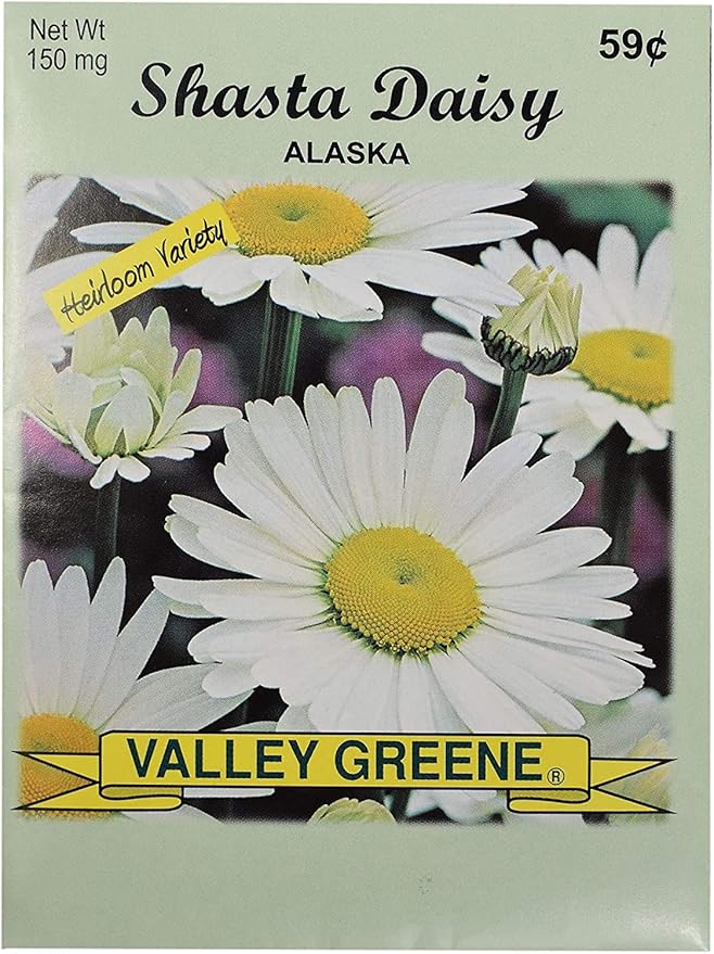 Set of Flower Seed Packets! Flower Seeds in Bulk - Great for Creating The Garden of Your Dreams! (100, Shasta Daisy - Alaska)