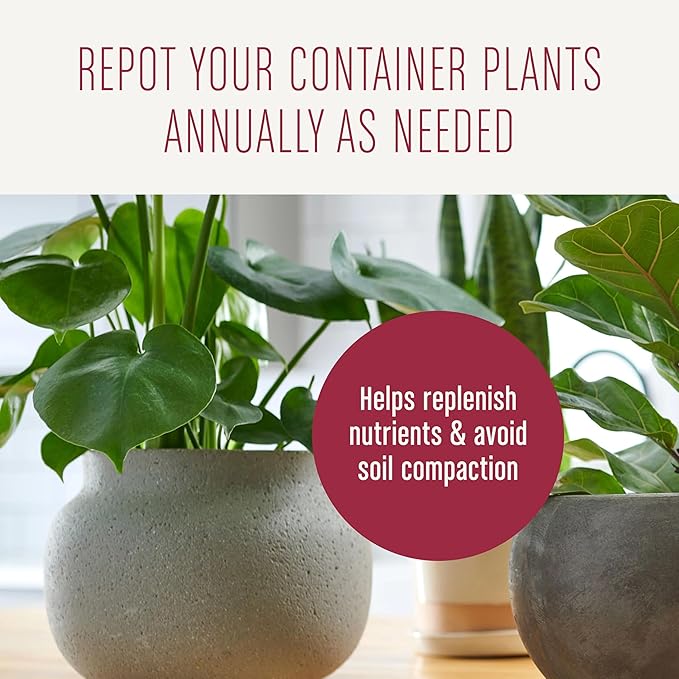 Miracle-Gro Houseplant Potting Mix: Fertilized, Perlite Soil for Indoor Gardening, Designed to Be Less Prone to Gnats, 4 qt.