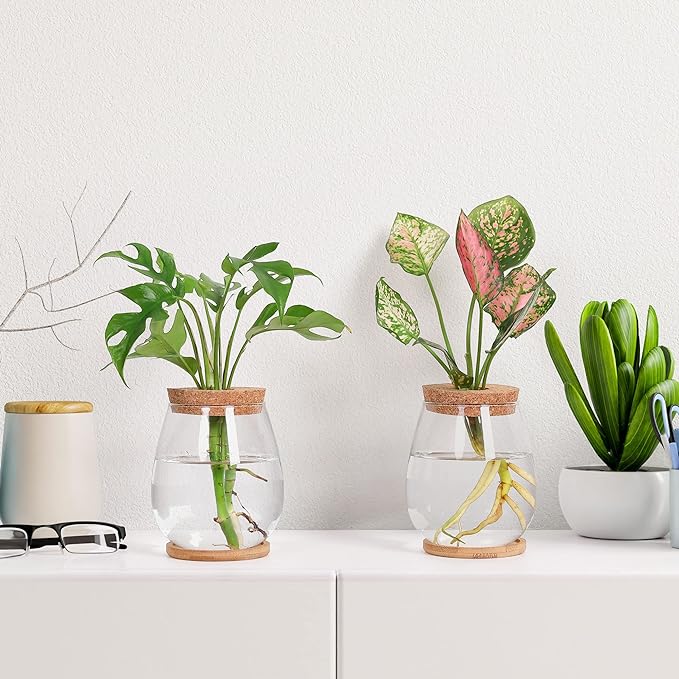 Propagation Stations, 2 Pcs Glass Planters with Wooden Tray & Lid, 5.2x4.2 inches, for Hydroponic Plants, Home Decor, Gardening Gifts for Women